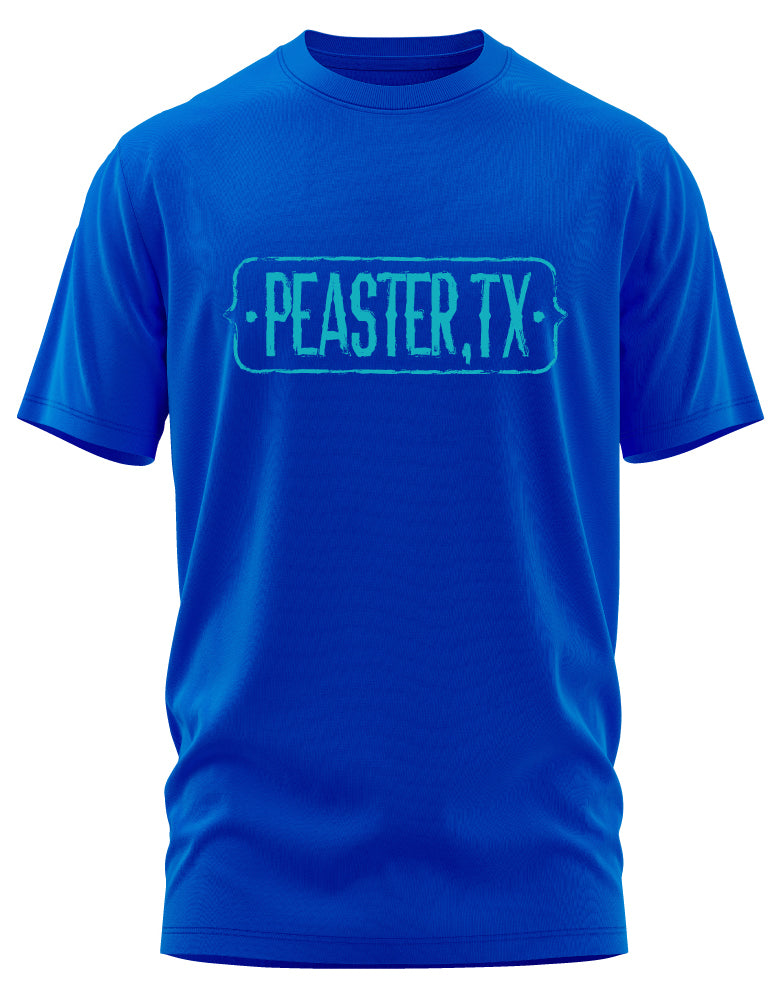 Peaster, TX plate